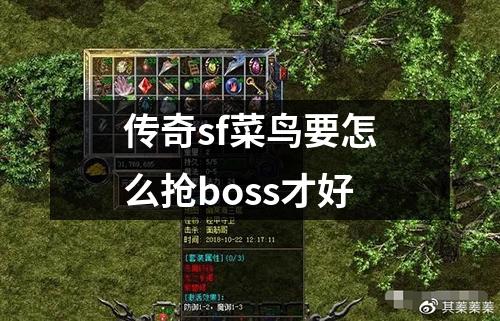 传奇sf菜鸟要怎么抢boss才好