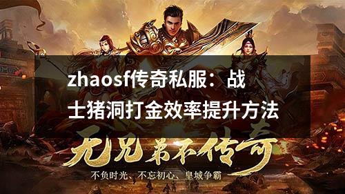 zhaosf传奇私服:战士猪洞打金效率提升方法